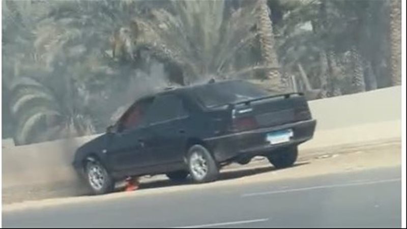 ارشيفية
