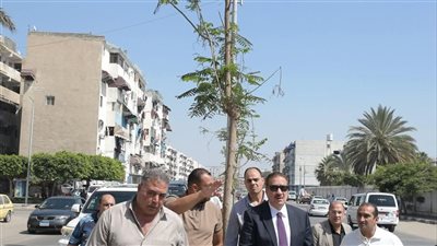  محافظ بورسعيد يتفقد أعمال زراعة النباتات وأشجار البونسيانابحي الزهور