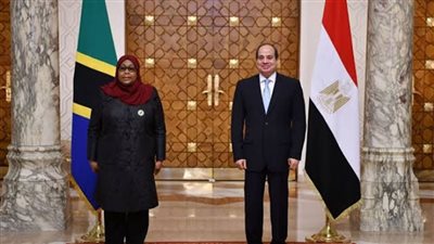 خبيرة: مشروع سد جوليوس نيريري إنجاز اقتصادي يحمل أبعاد سياسية مهمة