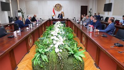 وزير العمل يبحث مع رابطة مصانع نسيج المحلة تيسير الإجراءات ودعم المستثمرين