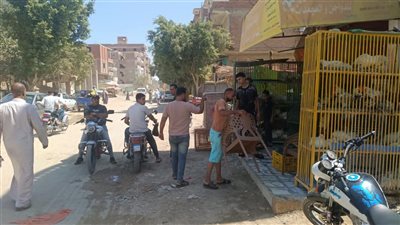 حي الجناين يواصل حملات رفع الإشغالات بالسيد هاشم وقرية العمدة وأبو عارف 