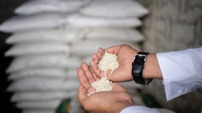 تراجع أسعار الأسمدة بمصر 36% بعد انخفاض الغاز المورد للمصانع