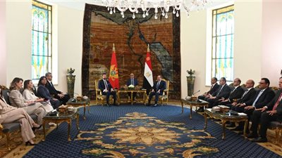 الرئيس السيسي ورئيس الجبل الأسود يبحثان تعزيز التعاون الاقتصادي 