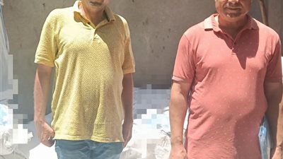 ضبط طن ملح مجهول المصدر ولحوم مذبوحة خارج المجازر بكفر الدوار