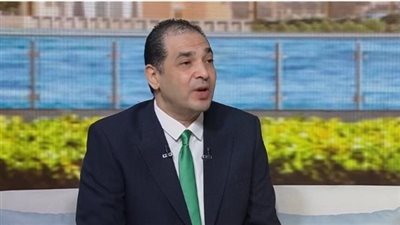 البرديسي: عودة مصر إلى أفريقيا تعكس إدراكًا بأن الأمن القومي يبدأ من العمق|خاص