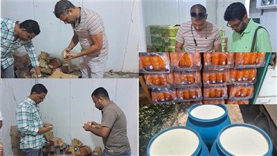 صحة بنى سويف|ضبط مواد منتهية الصلاحية وإعدام أخرى غير صالحة وتحرير 165 محضر 