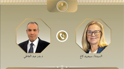 عبد العاطي : استقرار الشرق الأوسط مرهون باستعادة الفلسطينيين حقوقهم المشروعة 