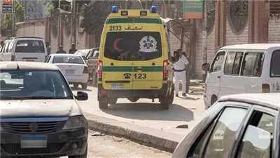 إصابة رئيس الوحدة المحلية بقرية صا الحجر في حادث مفاجئ على طريق طنطا - بسيون