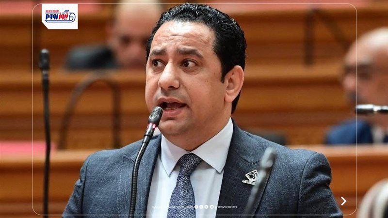 النائب مصطفى خليل