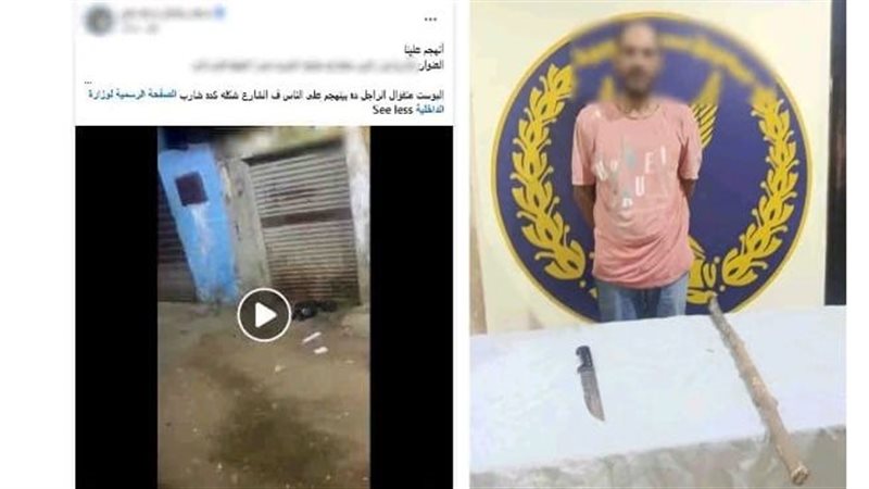 ارشيفية
