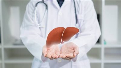 الكبد قد يحافظ على وظائفه للسنين.. فما العمر الأقصى الذي يبلغه الإنسان؟