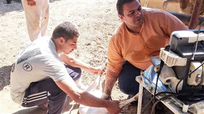 الخدمات البيطرية