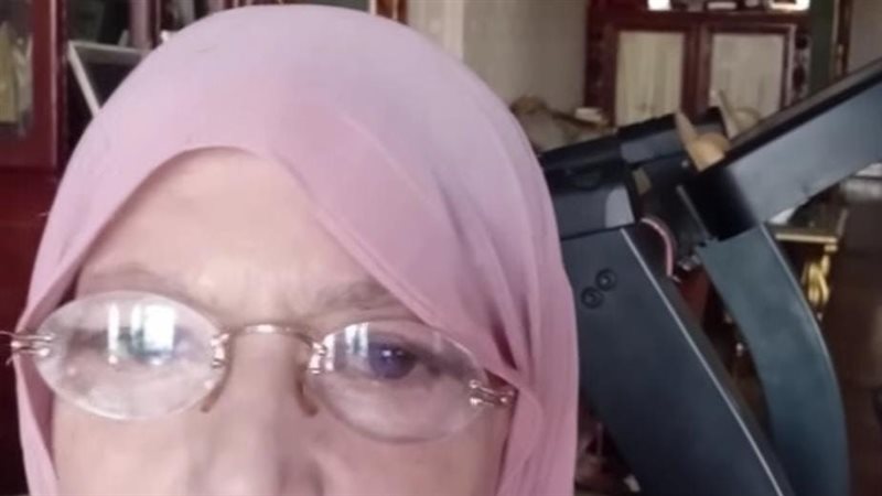 شمس البارودي