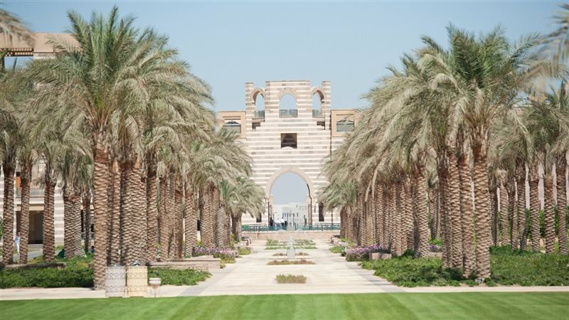 الجامعة الأمريكية