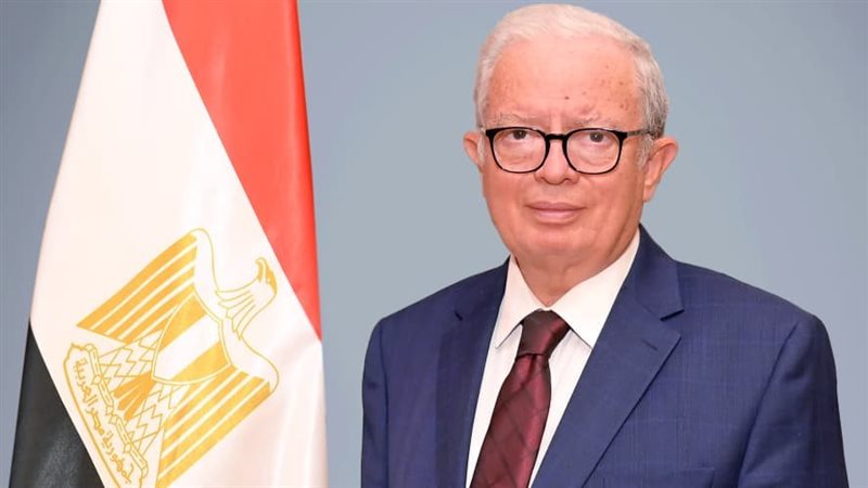 نائب رئيس الوزراء