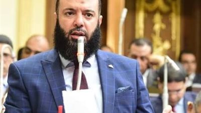 رئيس برلمانية النور: المنصات الإلكترونية لن تدير مصر ومؤسسات الوطن أذرع للبناء