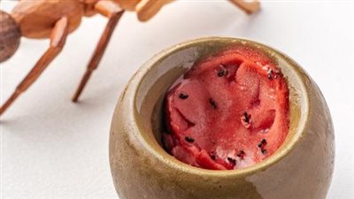 النمل يقود مطعمًا حائزًا على نجمتين ميشلان إلى المحكمة.. ما القصة؟