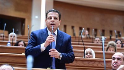رئيس برلمانية المصري الديمقراطي يؤيد إنشاء جامعة كيان