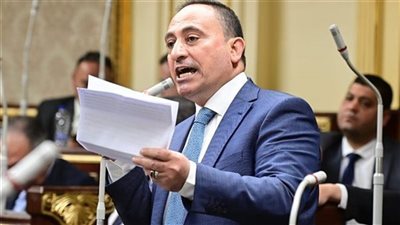  محمد زين الدين: كلمة الرئيس في ذكرى 23 يوليو رسمت ملامح الجمهورية الجديدة