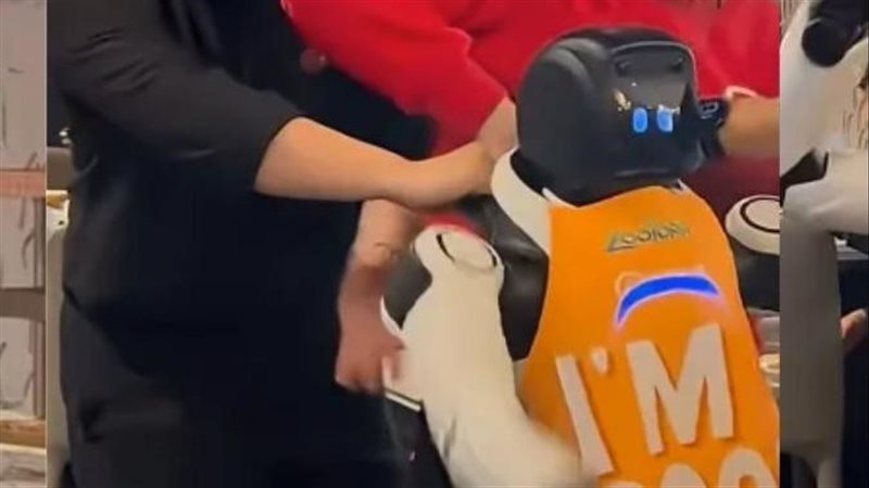  روبوت نادل يثير