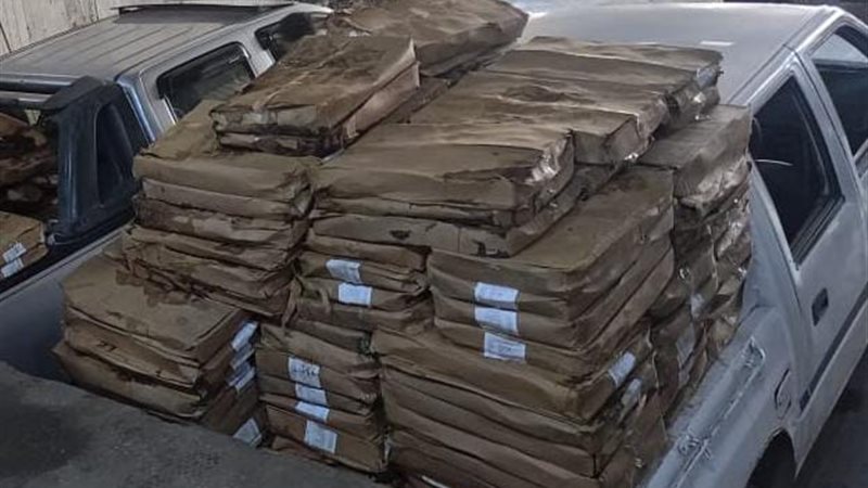 ضبط 1800 كجم سردين