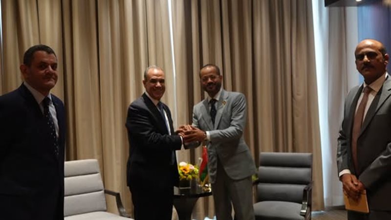 وزيرا خارجية مصر