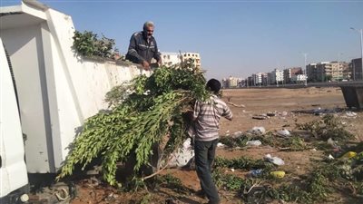 حي عتاقة بالسويس يواصل أعمال النظافة بطريق الخدمة ضمن الوردية الصباحية