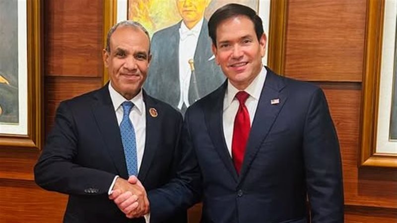 وزيرا خارجية مصر