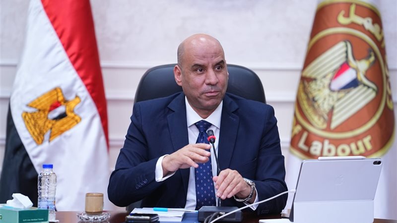 وزير العمل  حسن رداد