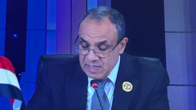 وزير الخارجية يشارك