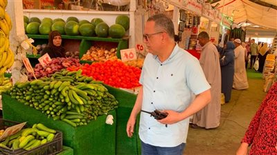 محافظ الدقهلية يؤكد استمرار الحملات التموينية وتحرير 220 محضر تمويني