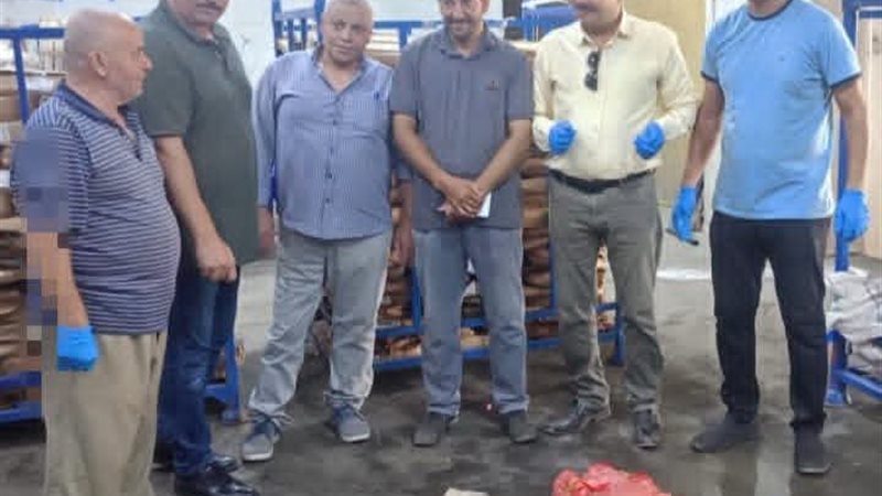 ضبط 2 طن أسماك ولحوم