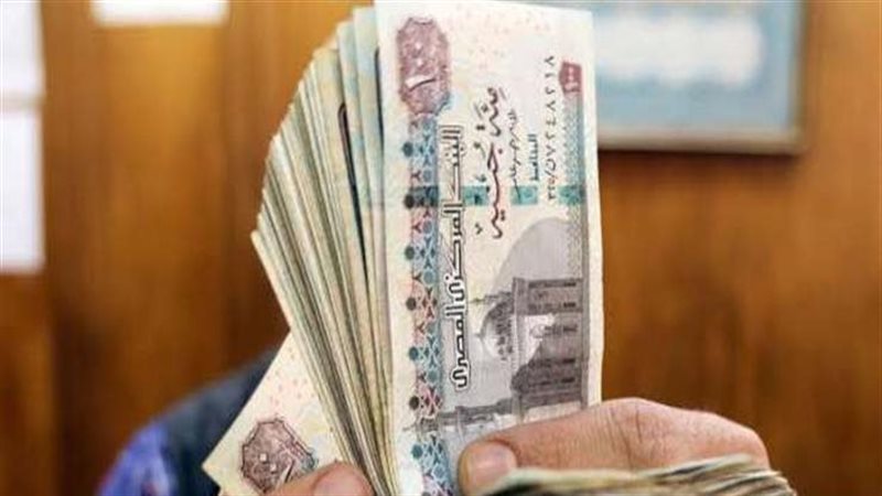 سداد اشتراكات التأمينات