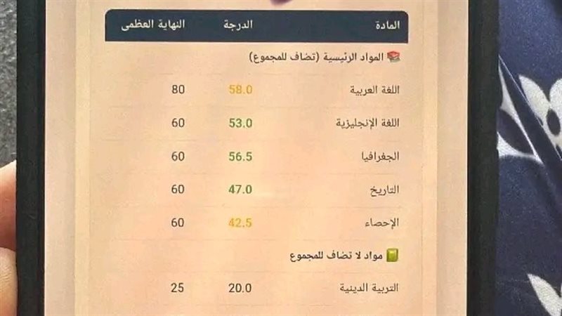 نتيجة وهمية 