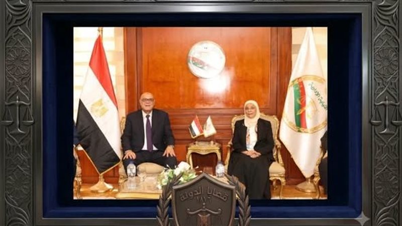 رئيس قضايا الدولة