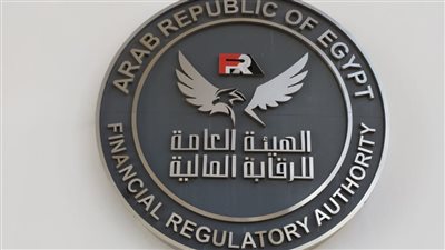 مصر ضمن الـ5 الكبار عالميا في الرقابة المالية.. مستشارة وزير المالية تكشف التفاصيل