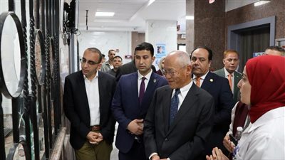 السفير الياباني يزور منشآت الرعاية الصحية بالإسماعيلية ويشيد بالتطور المتسارع