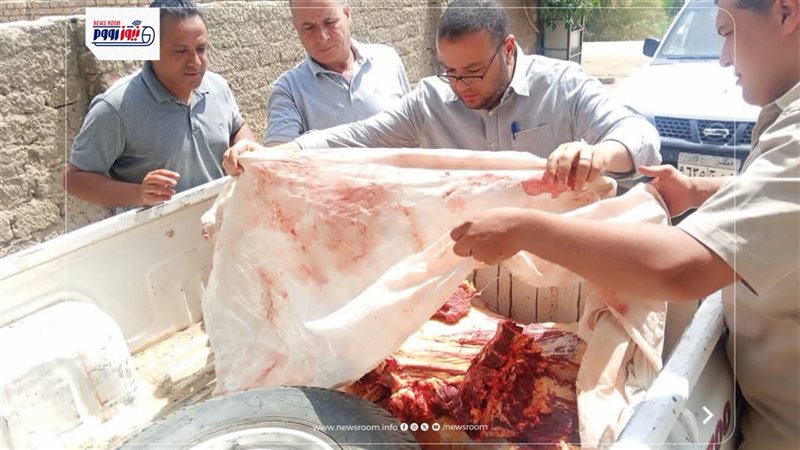 حملات تفتيشية بالمنيا