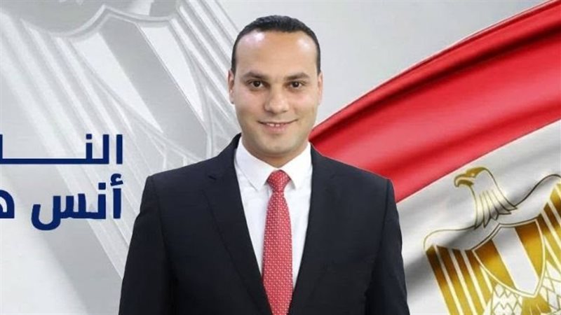 النائب أنس هلول