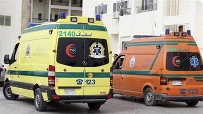     حادث مأساوي بالدقهلية.. مصرع 5 أشخاص من اسرة واحدة