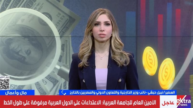 السفير نبيل حبشي