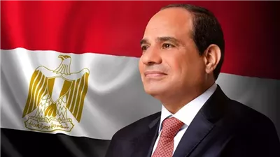 السيسي يشدد على منح القطاع الخاص الدور المحوري الرئيسي في دفع عجلة الاقتصاد