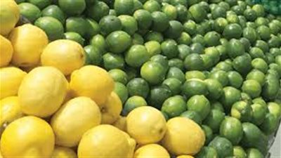 ارتفاع كبير في أسعار الليمون بالأسواق..والشعبة تكشف موعد الانخفاض 