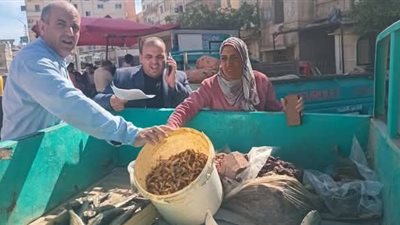 بينها فسيخ فاسد.. ضبط 36 مخالفة تموينية في حملة مكبرة بكفرالشيخ 