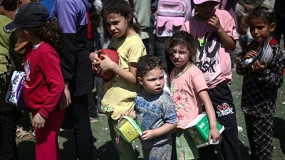 للبقاء على قيد الحياة.. السلاحف البحرية الطعام الأخير لأهالي غزة