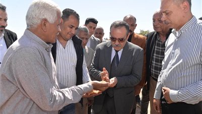 محافظ أسيوط يشهد بدء حصاد 50 فدان قمح بمزرعة الوادي الأسيوطي