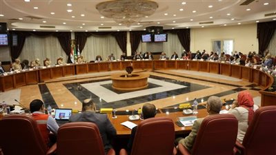 محافظ المنيا يشهد التدريب العملي لمجابهة الأزمات والكوارث الطبيعية «صقر 148»