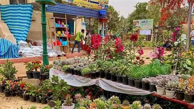 الدخول بـ 10 جنيهات..زهور للبلكونة والحديقة تقدر تشتريها من 