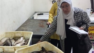 تموين الجيزة تضبط 1.3 طن من الأسماك المملحة غير الصالحة للاستهلاك