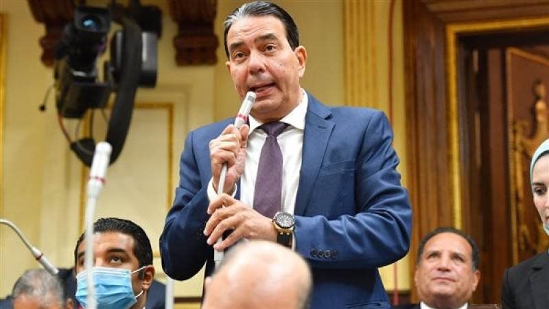 النائب أيمن ابو العلا